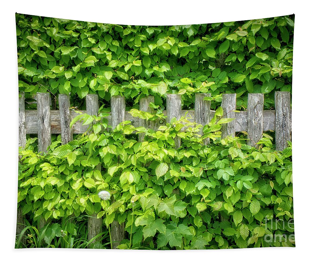 Nag005715 Tapestry featuring the photograph The Old Fence by Edmund Nagele FRPS