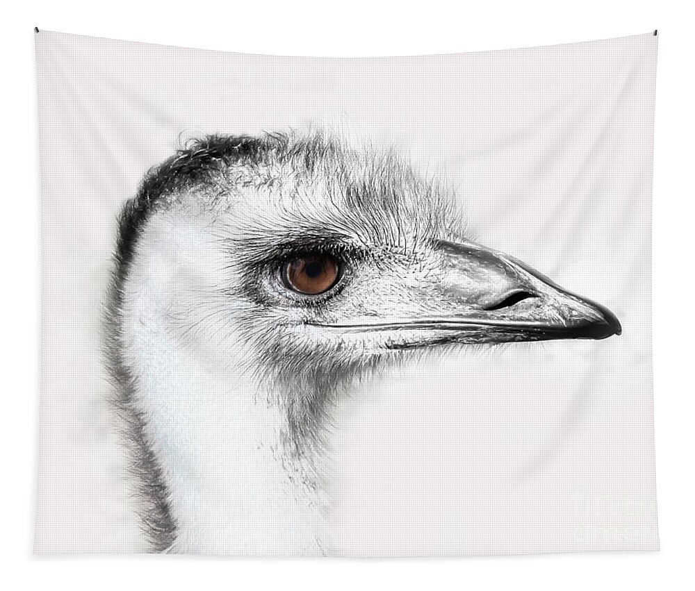 Ostrich Tapestry featuring the photograph The Ostrich by Neala McCarten