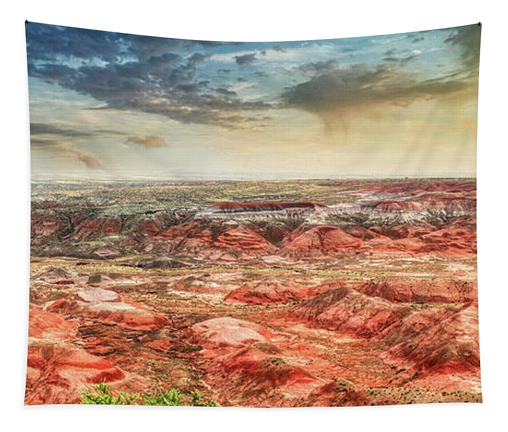 Painted Desert Tapestry featuring the photograph The Painted Desert 1 by Micah Offman
