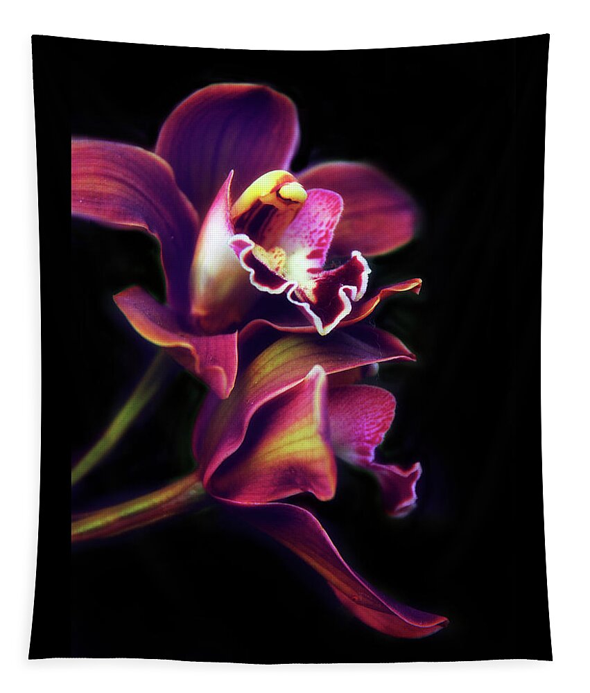 Orchids Tapestry featuring the photograph The Painted Orchid by Jessica Jenney