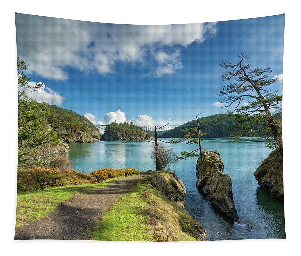 Deception Pass Tapestry featuring the photograph The Pass 1 by Gary Skiff