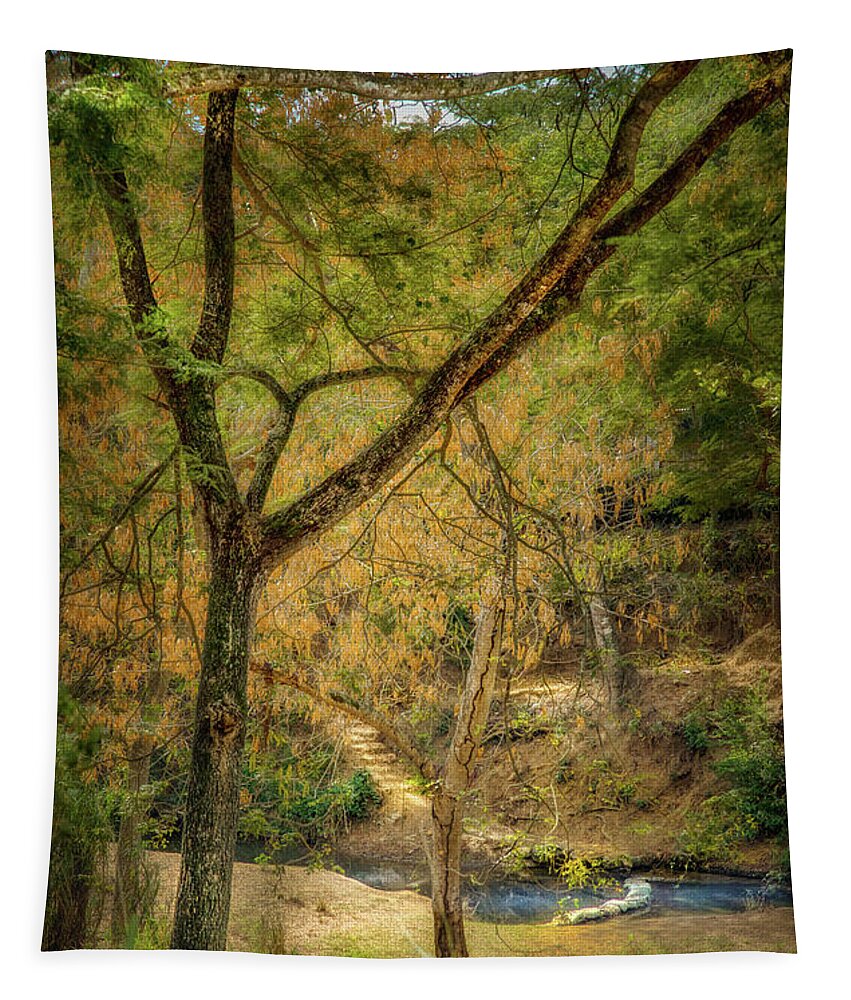 Ford Tapestry featuring the photograph The passing on the Mabay river near Veguitas by Micah Offman