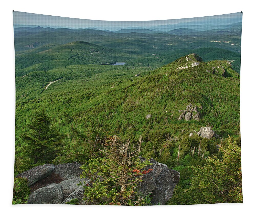 Blue Ridge Mountains Tapestry featuring the photograph The Peak by Melissa Southern