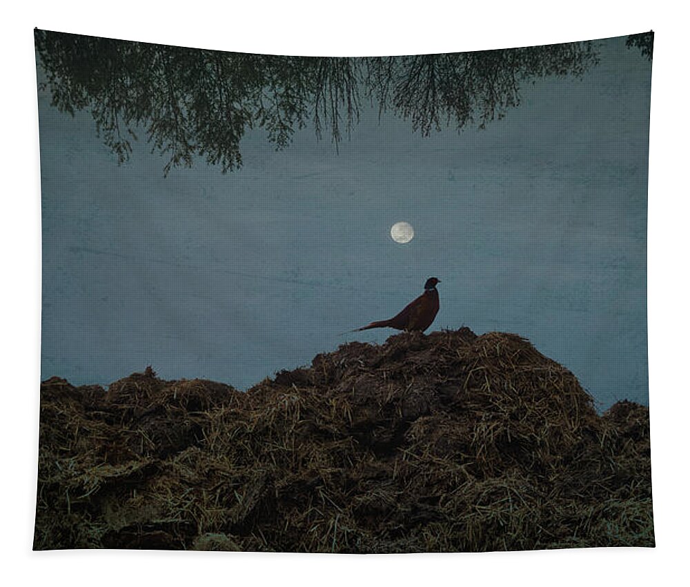 Pheasant Tapestry featuring the photograph The Pheasant by Yasmina Baggili