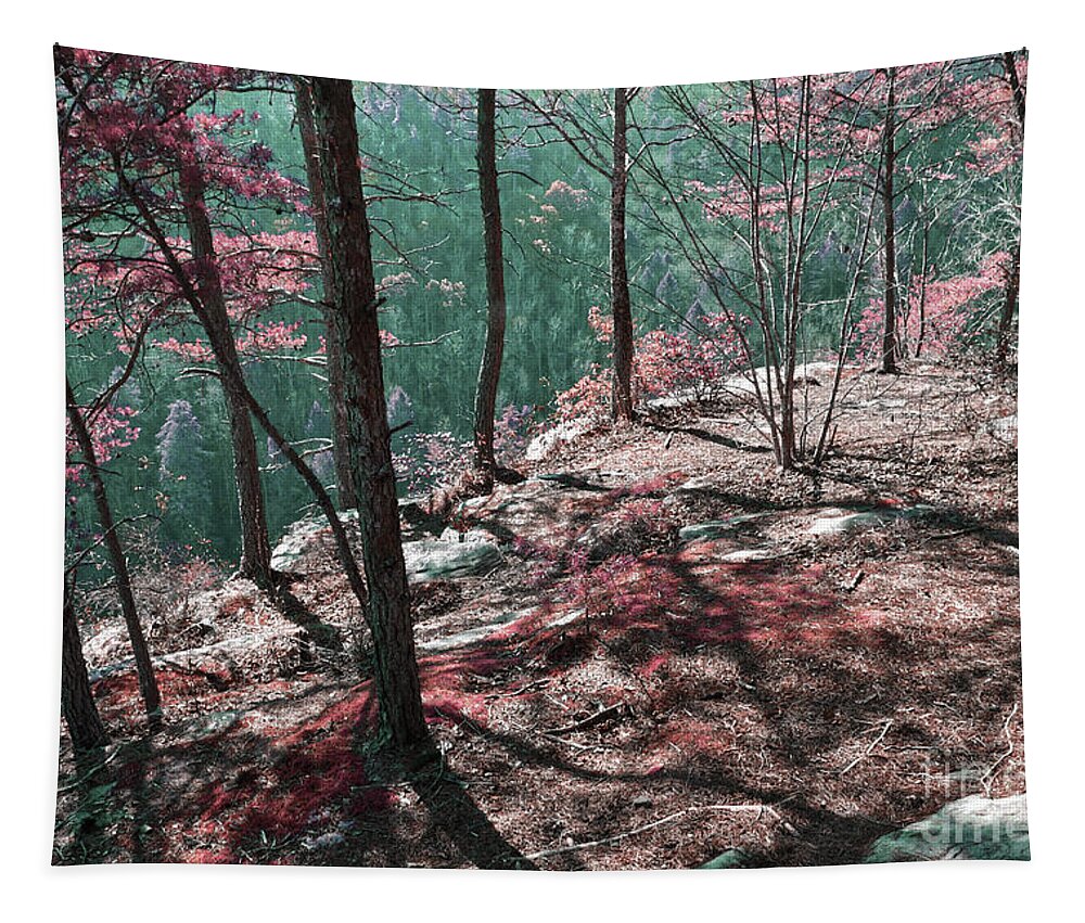Obed Tapestry featuring the photograph The Point Trail Infrared by Phil Perkins