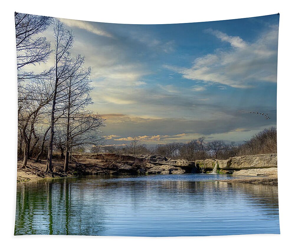 Lake Tapestry featuring the photograph The Pond by G Lamar Yancy