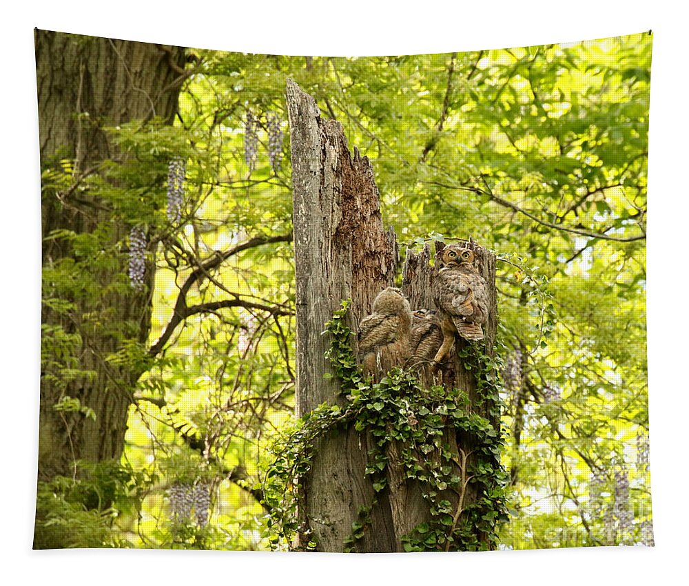 Bubo Tapestry featuring the photograph The prettiest owl nest by Heather King
