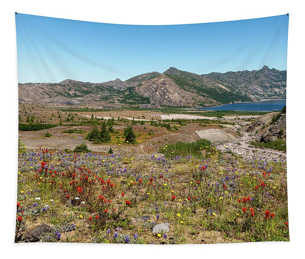 Outdoor; Mountains; Lake; St. Helens; Pumice Plains; Lava; Dust; Blast Zone; Flowers; Paintbrush; Lupine; Summer Tapestry featuring the digital art The Pumice Plains by Michael Lee