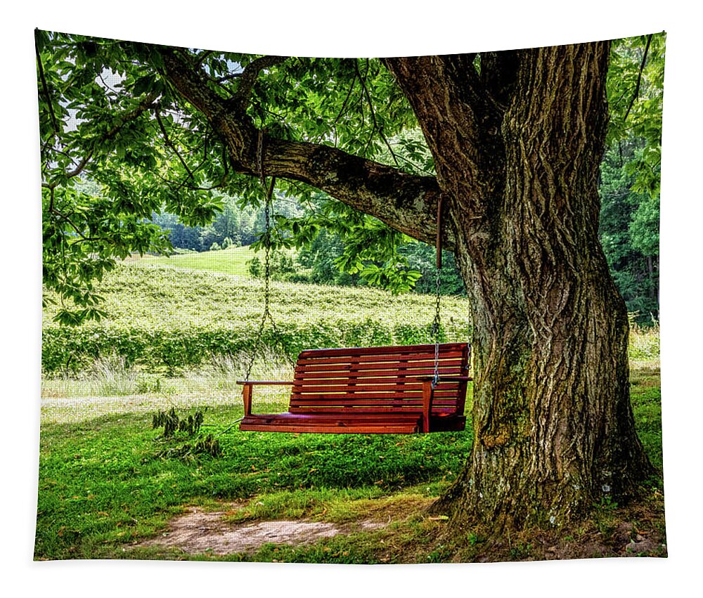 Swing Tapestry featuring the photograph The Red Swing at Cartecay by Debra and Dave Vanderlaan