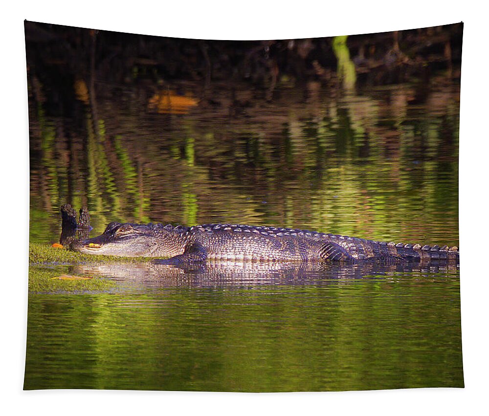 Alligator Tapestry featuring the photograph The River Alligator by Mark Andrew Thomas