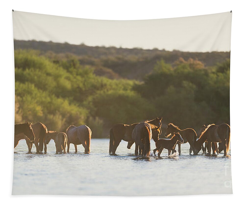 Salt River Wild Horses Tapestry featuring the photograph The Salt River by Shannon Hastings