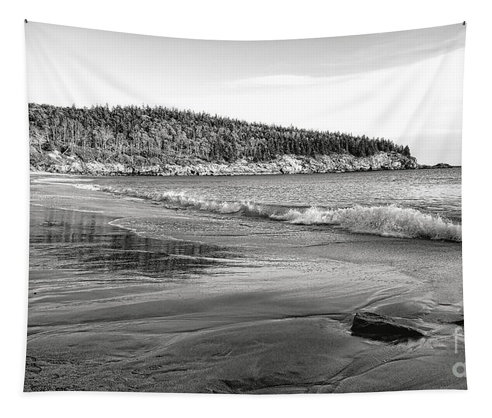 Acadia Tapestry featuring the photograph The Sand Beach at Acadia National Park by Olivier Le Queinec