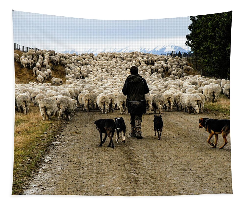 New Zealand Tapestry featuring the photograph While Shepherds Watched - High Country Muster, South Island, New Zealand by Earth And Spirit