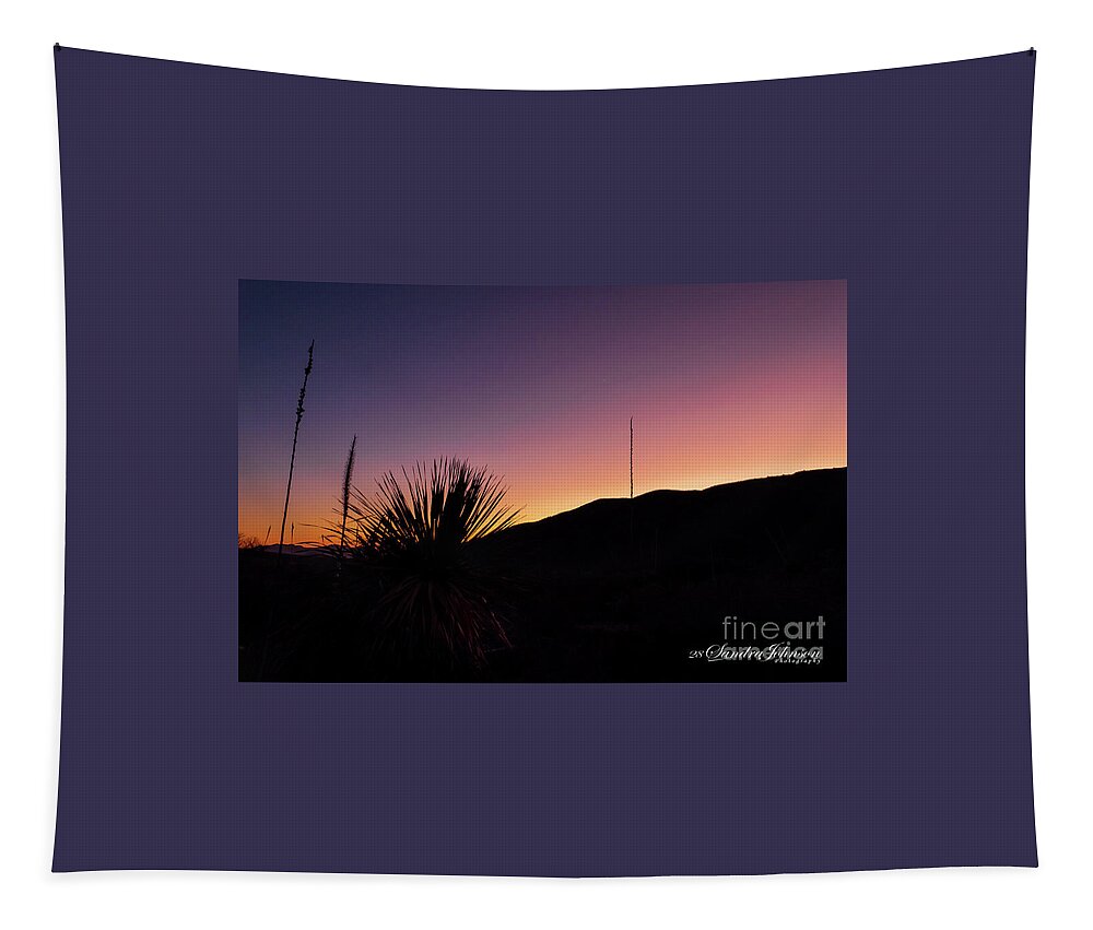 Cactus Tapestry featuring the photograph The Silhouette of a Cactus at Sunset by Sandra J's
