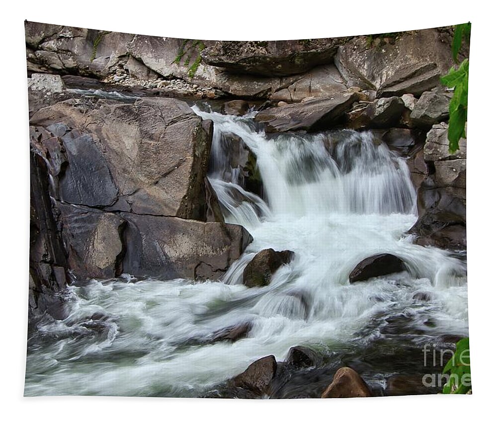 Water Tapestry featuring the photograph The sinks, smoky mountains by Theresa D Williams