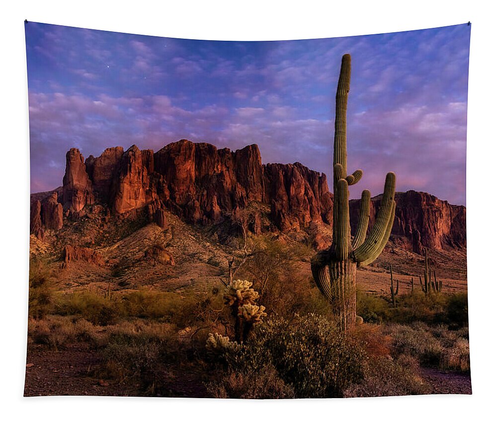 Twilight Tapestry featuring the photograph The Sonoran Blue Hour by Saija Lehtonen