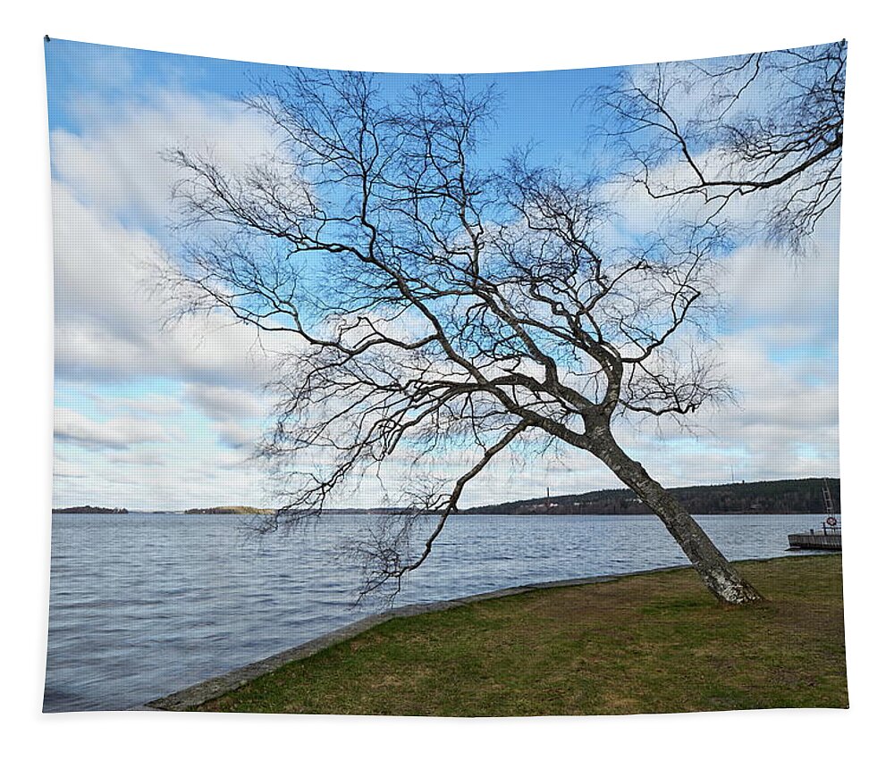 Finland Tapestry featuring the photograph The spring is coming isn't it by Jouko Lehto