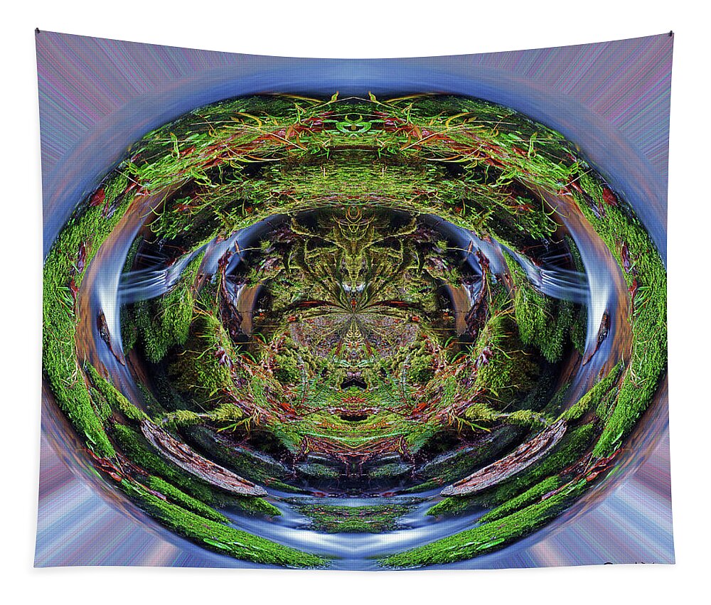 Nature Tapestry featuring the photograph The Spring of Eternal Life #2 by Ben Upham III