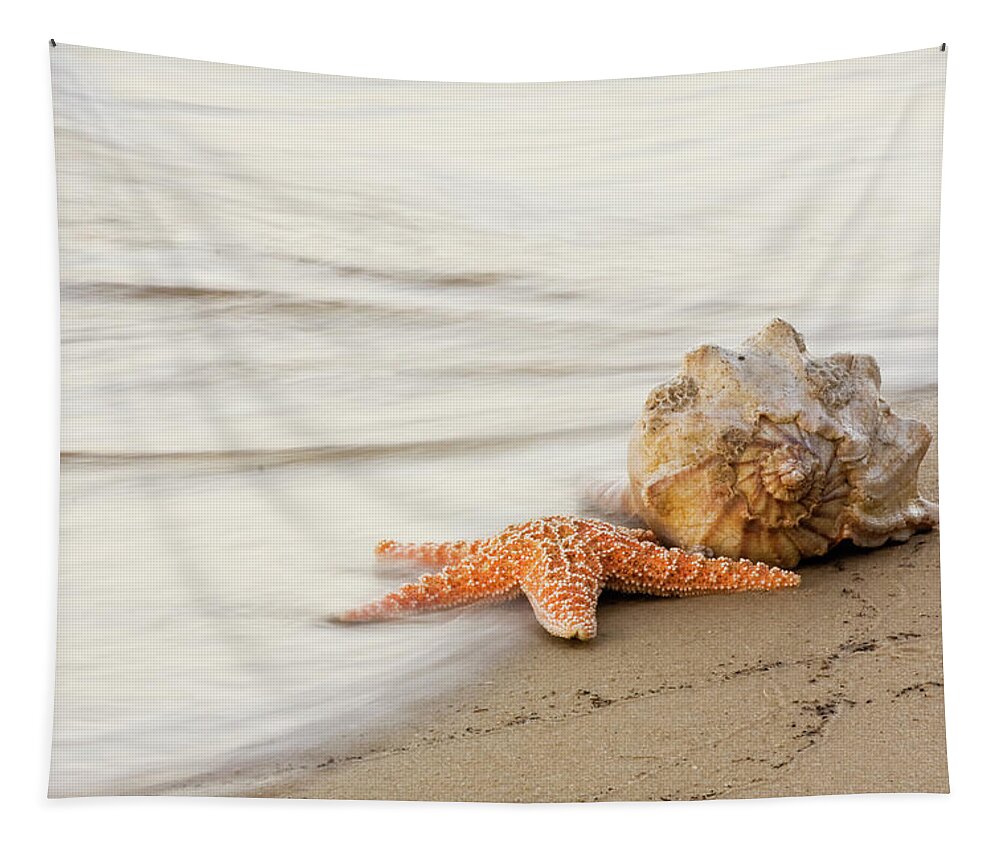 Starfish Tapestry featuring the photograph The Starfish and the Shell at Atlantic Beach North Carolina by Bob Decker