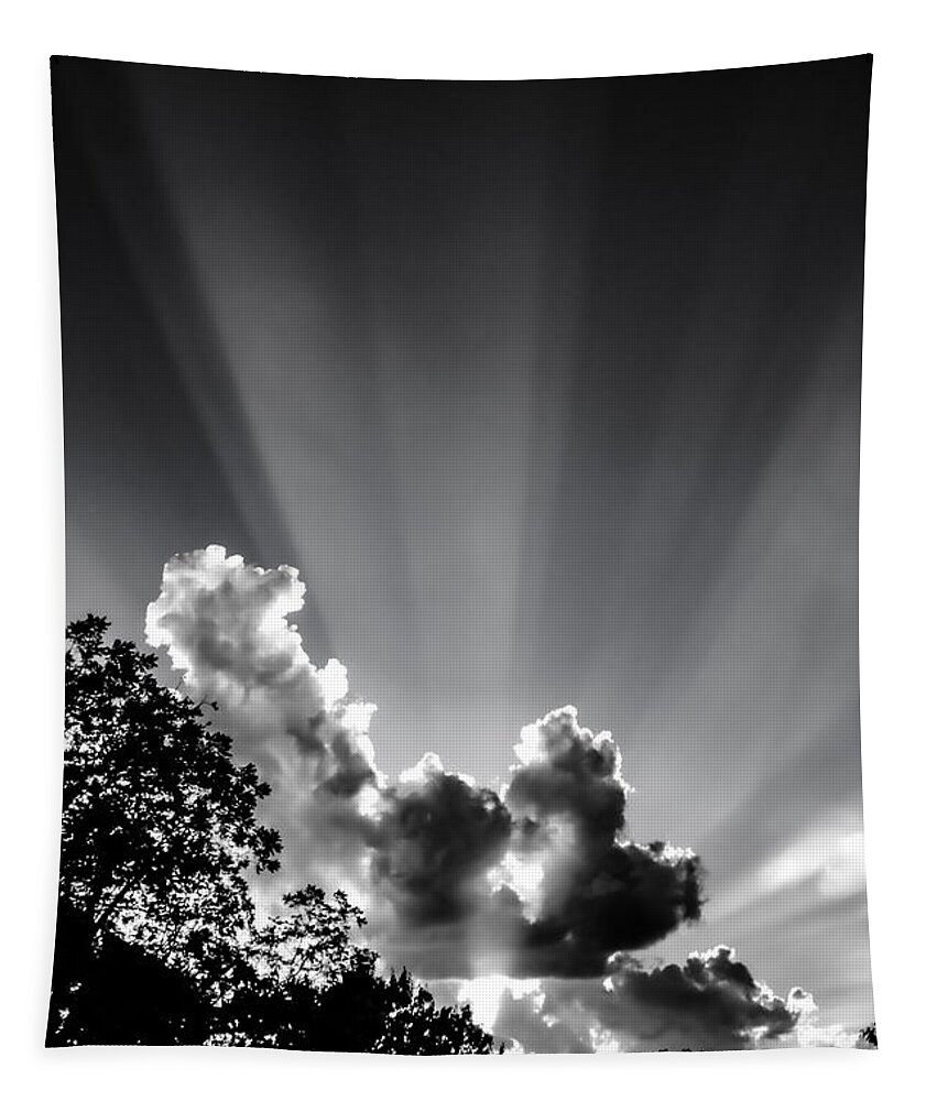 Sunset Tapestry featuring the photograph The Sun Sets in Black and White by W Craig Photography
