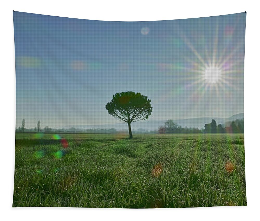 Landscape Tapestry featuring the photograph The time for festivities by Karine GADRE