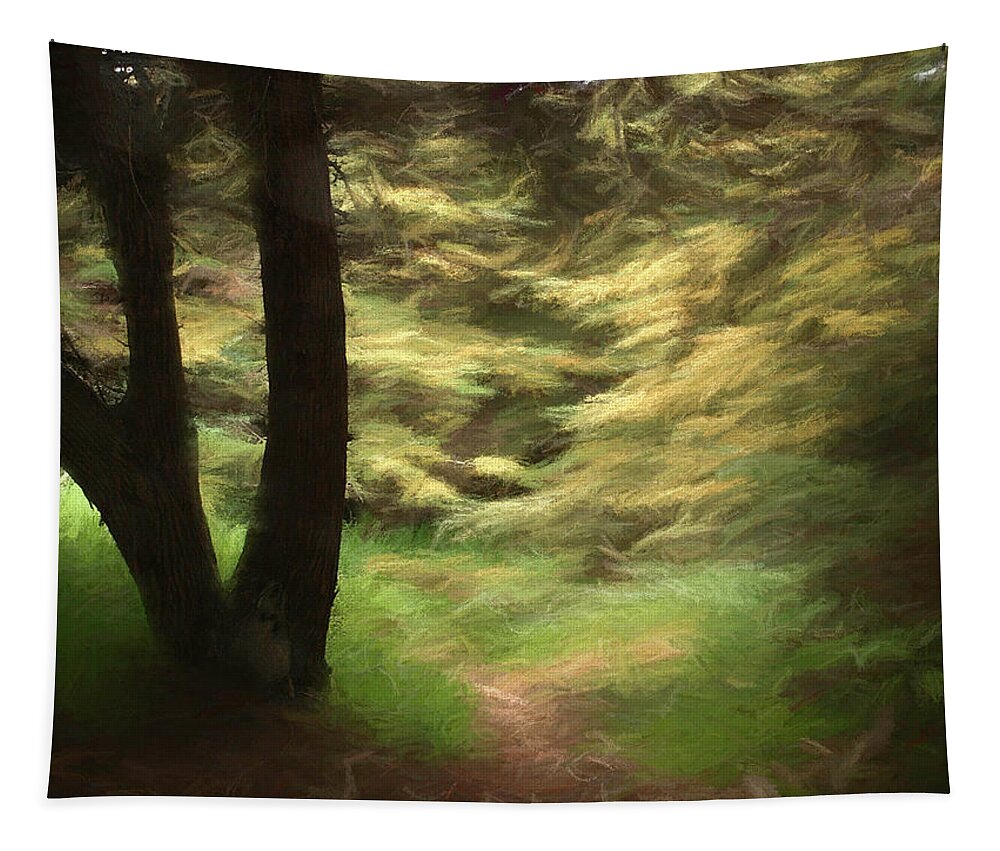 Cypress Tapestry featuring the photograph The Trail in Lobos Woods by Wayne King
