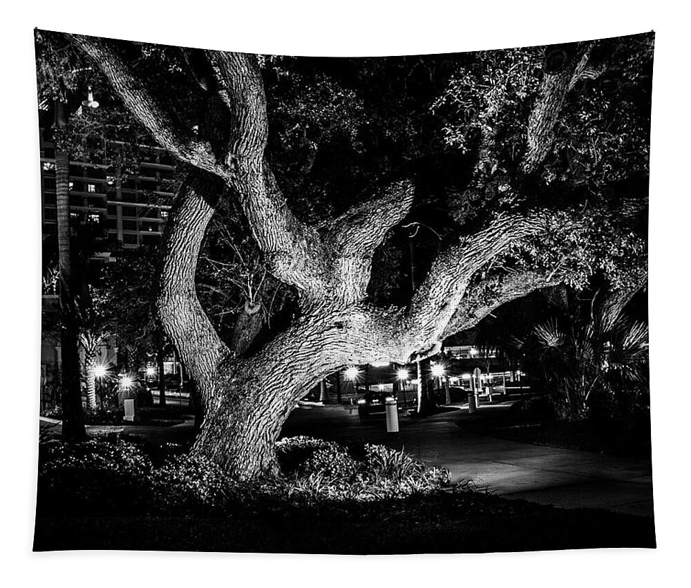 Art Tapestry featuring the photograph The Tree of Life by Louis Dallara