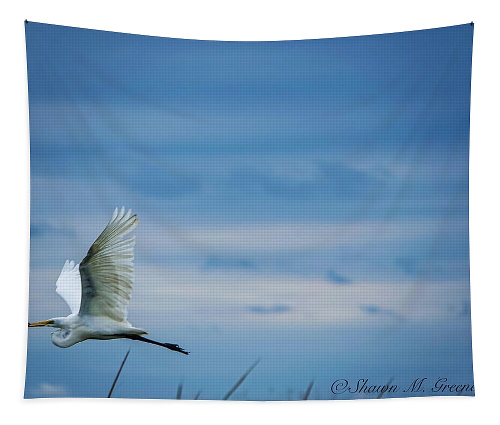 Bird Tapestry featuring the photograph The V of the Blue by Shawn M Greener
