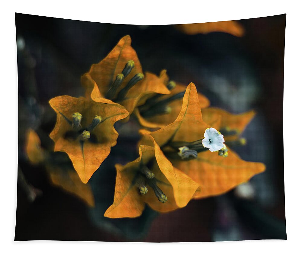 Bougainvillea Art Tapestry featuring the photograph The Villea by Gian Smith