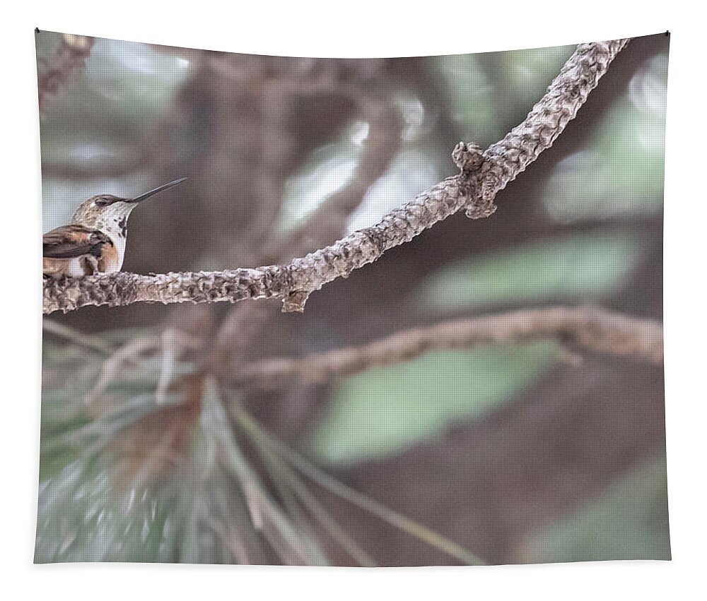 Hummingbird Tapestry featuring the photograph The Watcher by Laura Putman