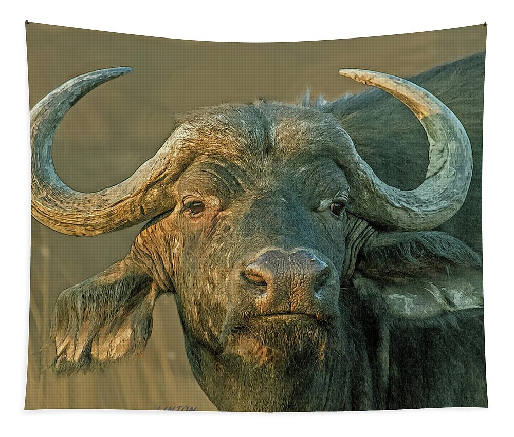 African Cape Buffalo Tapestry featuring the digital art The Widow Maker by Larry Linton