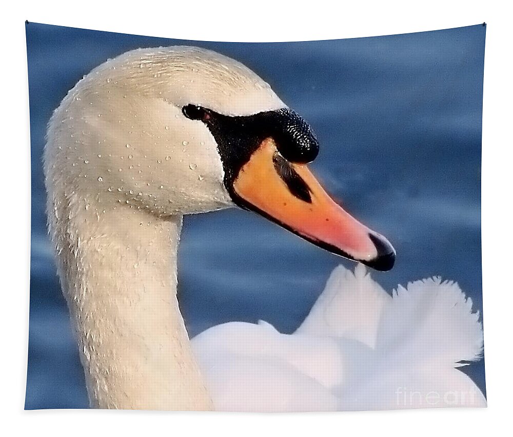 Swan Tapestry featuring the photograph This Is My Good Side by Lori Lafargue