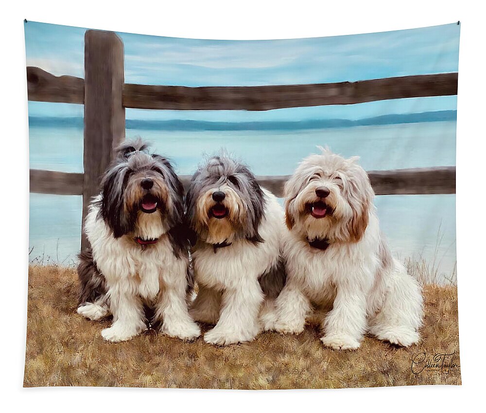 Old English Sheep Dogs Tapestry featuring the mixed media Three Dog Night and Day by Colleen Taylor