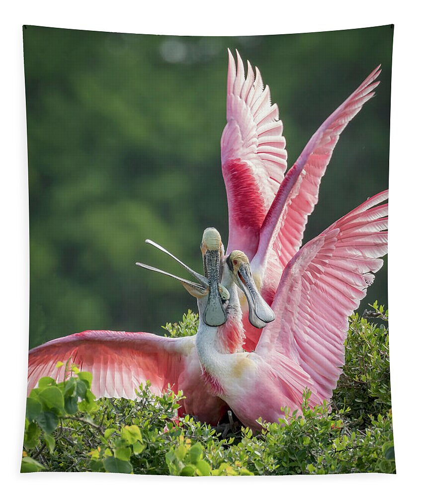 Roseate Spoonbill Tapestry featuring the photograph Three is Not A Company by Jurgen Lorenzen
