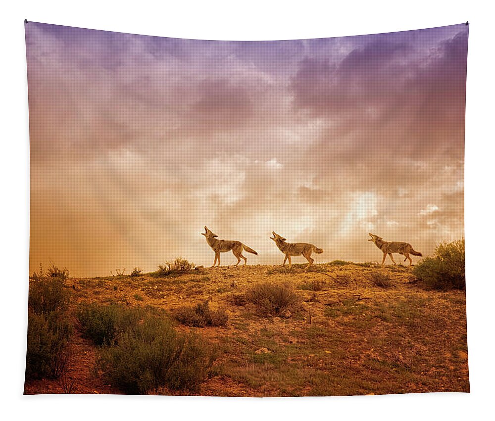 Coyote Tapestry featuring the digital art Three Part Harmony by Nicole Wilde
