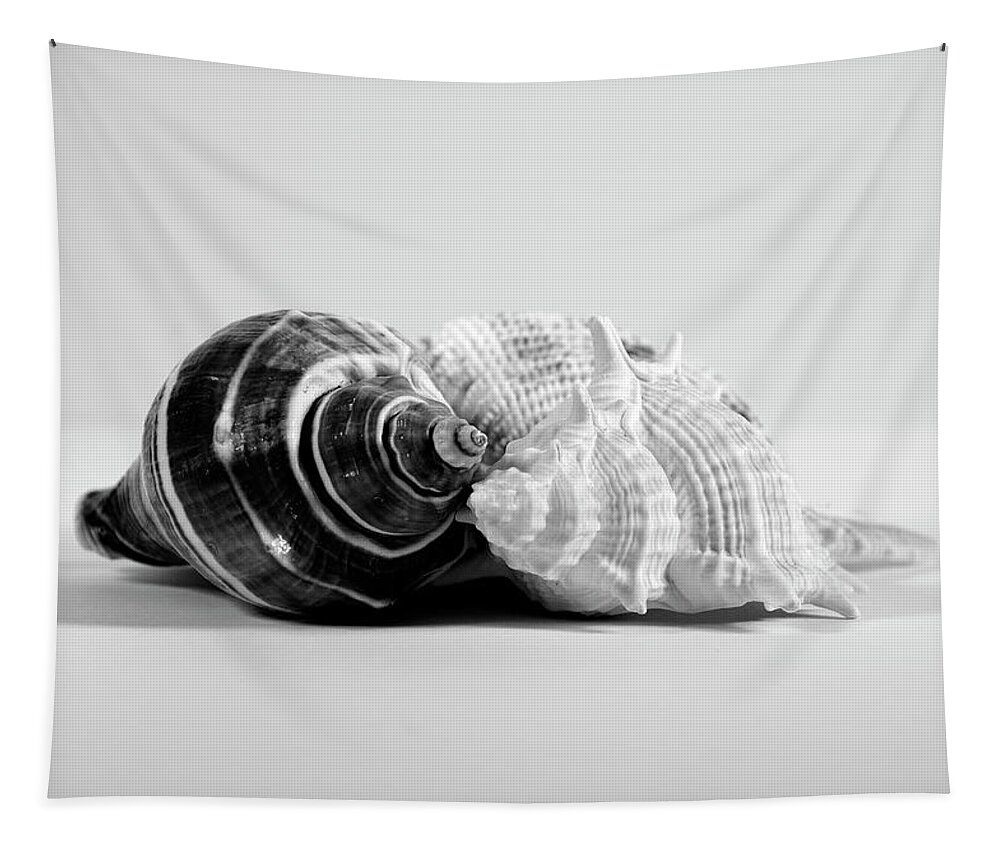 Seashells Tapestry featuring the photograph Three Seashells by Angie Tirado