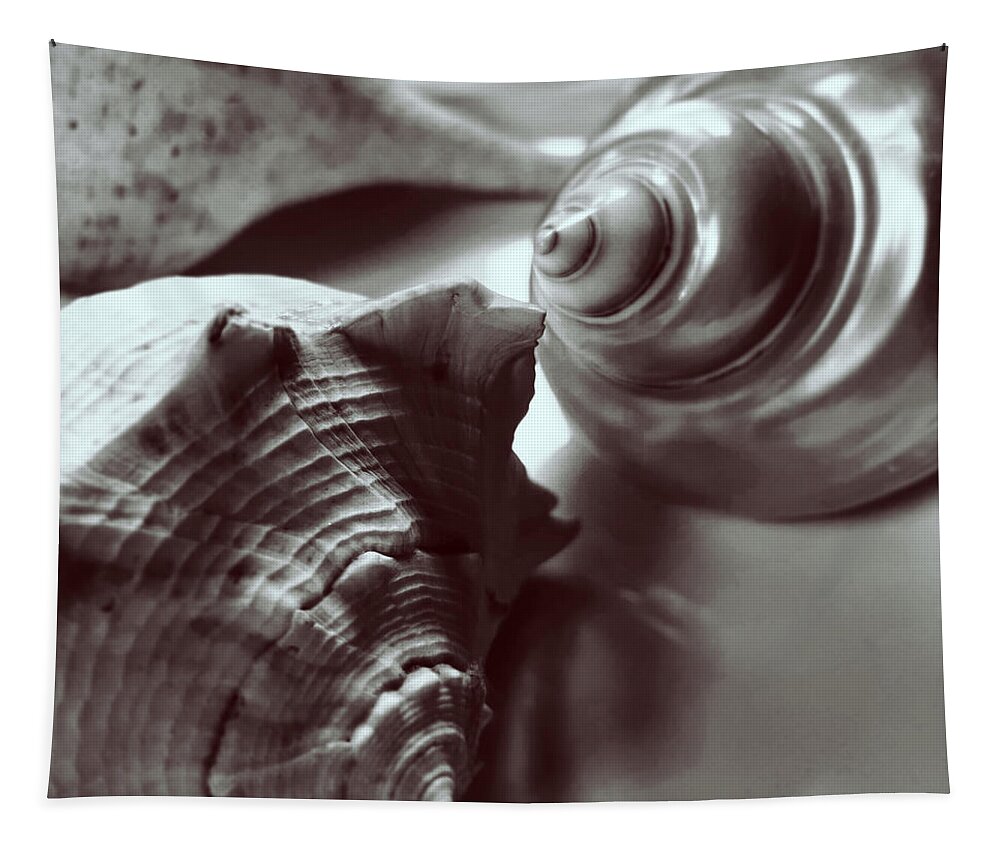 Monochrome Tapestry featuring the photograph Three Seashells Darker by Joy Sussman