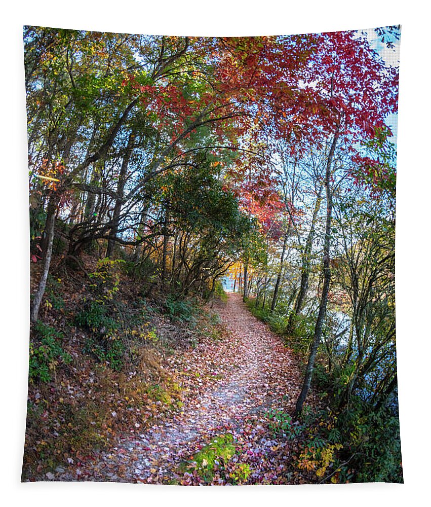 Carolina Tapestry featuring the photograph Through the Trees along the Trail by Debra and Dave Vanderlaan