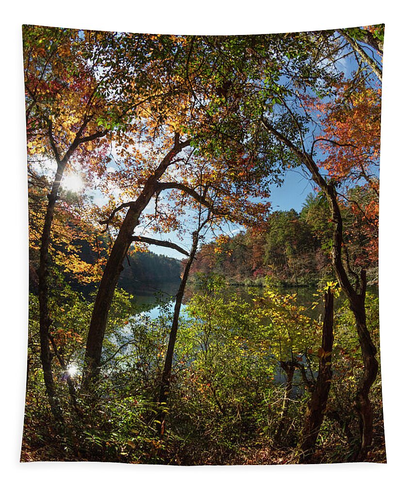 Carolina Tapestry featuring the photograph Through the Trees at the Lake by Debra and Dave Vanderlaan