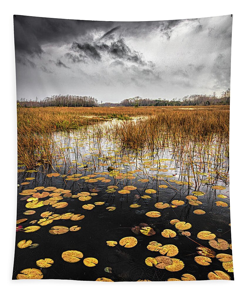 Clouds Tapestry featuring the photograph Thunder over the Autumn Marsh by Debra and Dave Vanderlaan