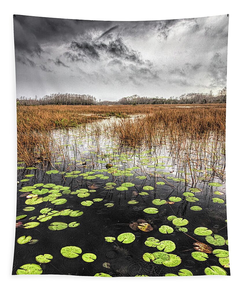 Clouds Tapestry featuring the photograph Thunder over the Marsh by Debra and Dave Vanderlaan