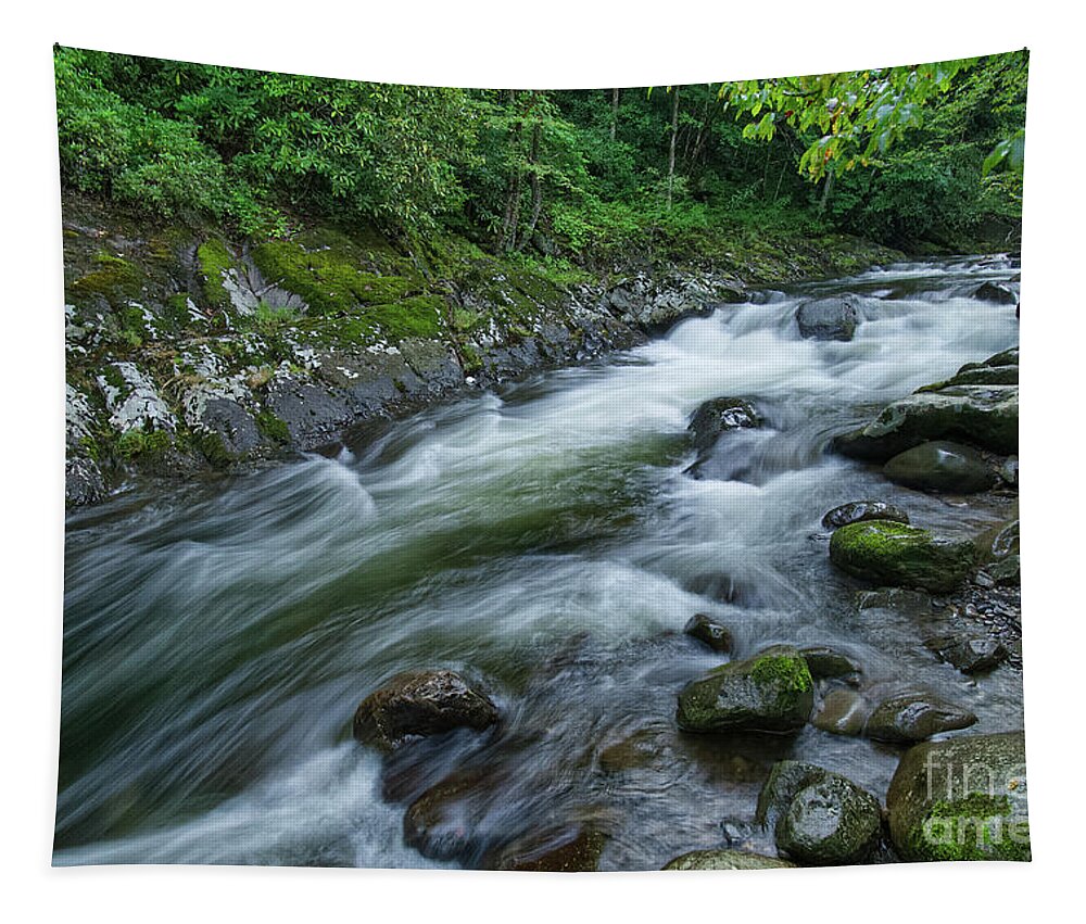 Smoky Mountains Tapestry featuring the photograph Thunderhead Prong 14 by Phil Perkins