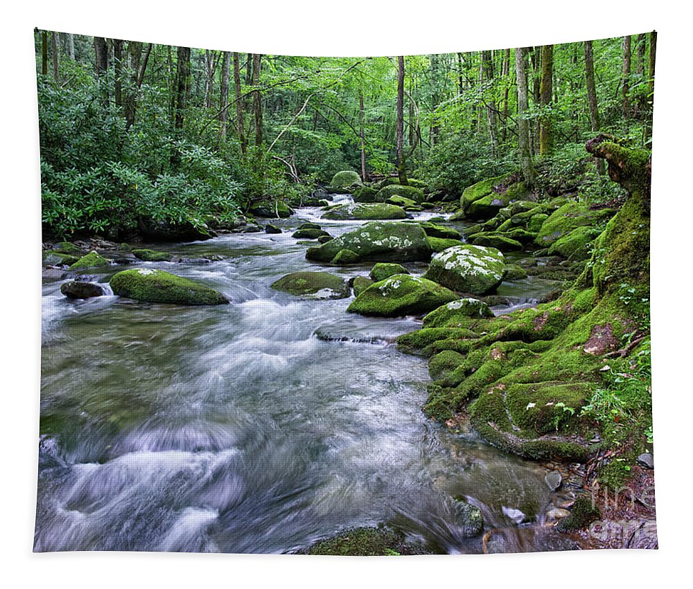 Smoky Mountains Tapestry featuring the photograph Thunderhead Prong 15 by Phil Perkins