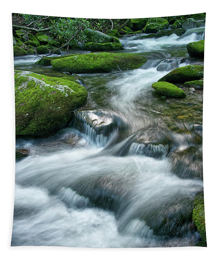 Smoky Mountains Tapestry featuring the photograph Thunderhead Prong 16 by Phil Perkins