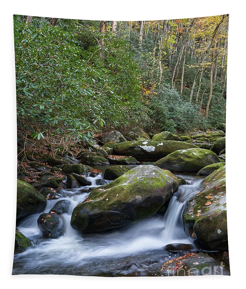 Smoky Mountains Tapestry featuring the photograph Thunderhead Prong 27 by Phil Perkins