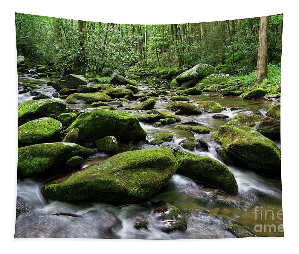 Smoky Mountains Tapestry featuring the photograph Thunderhead Prong 7 by Phil Perkins
