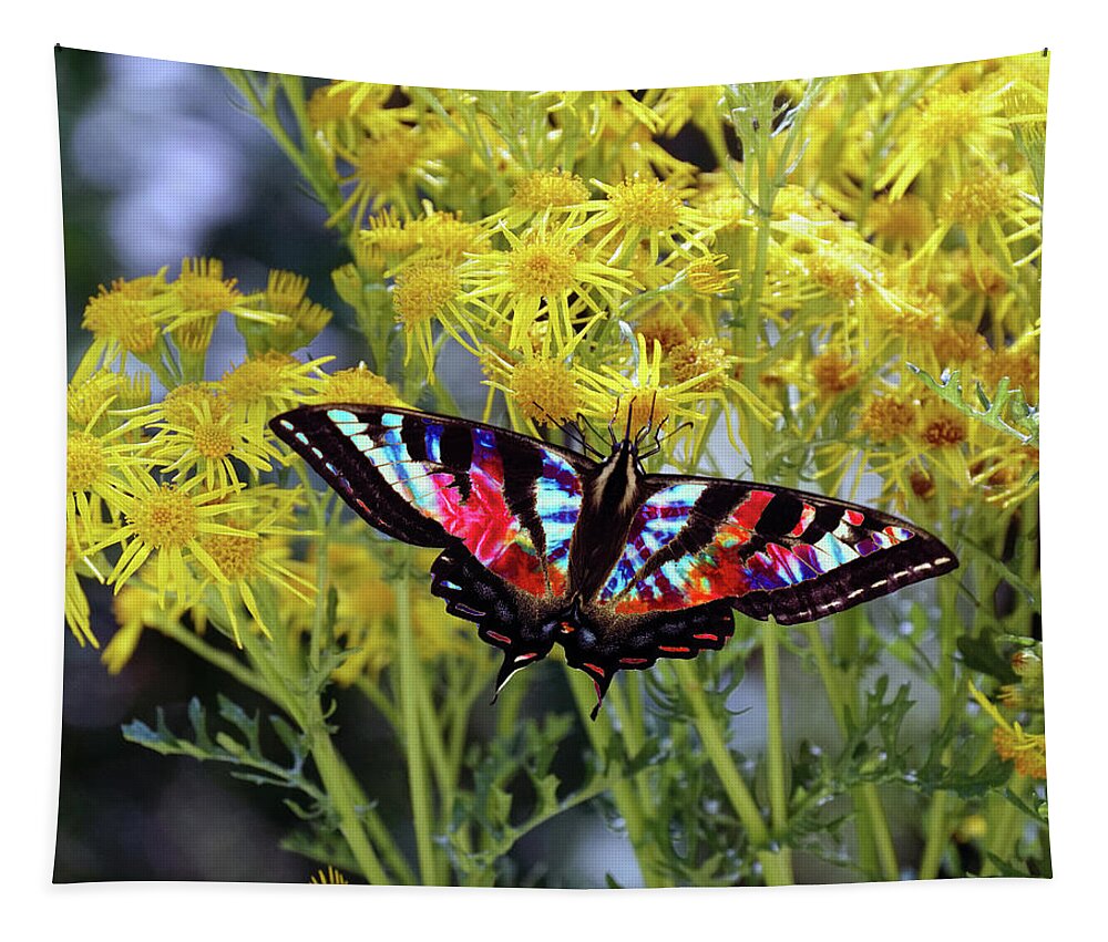 Butterflies Tapestry featuring the photograph Tie-Dye Butterfly #3 by Ben Upham III