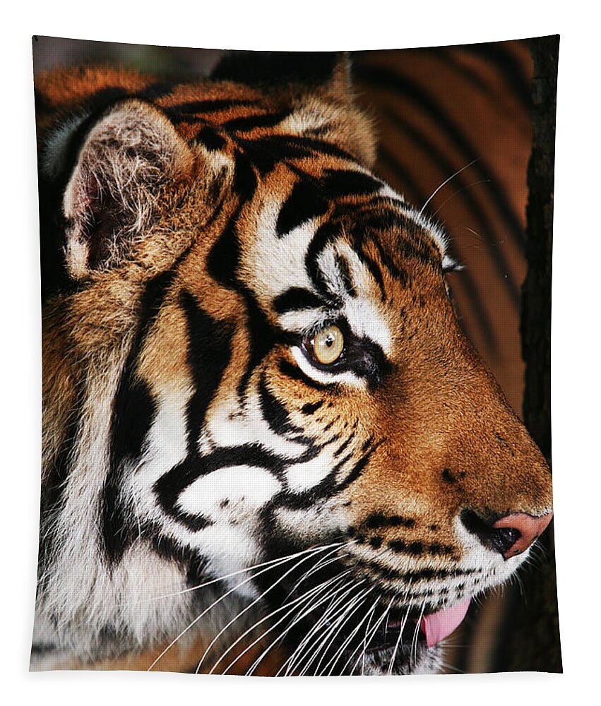 Tiger Tapestry featuring the photograph Tiger Profile by Brad Barton