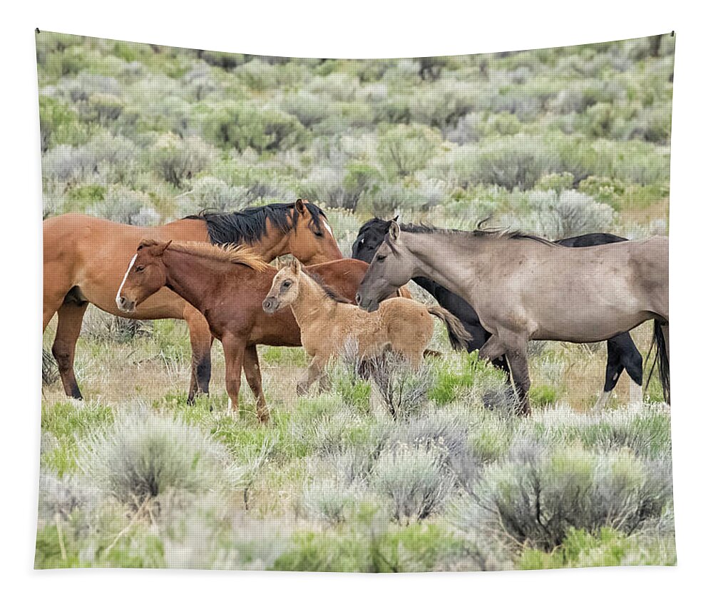 Wild Horses Tapestry featuring the photograph Tightly Knit - A South Steens Band of Wild Horses by Belinda Greb