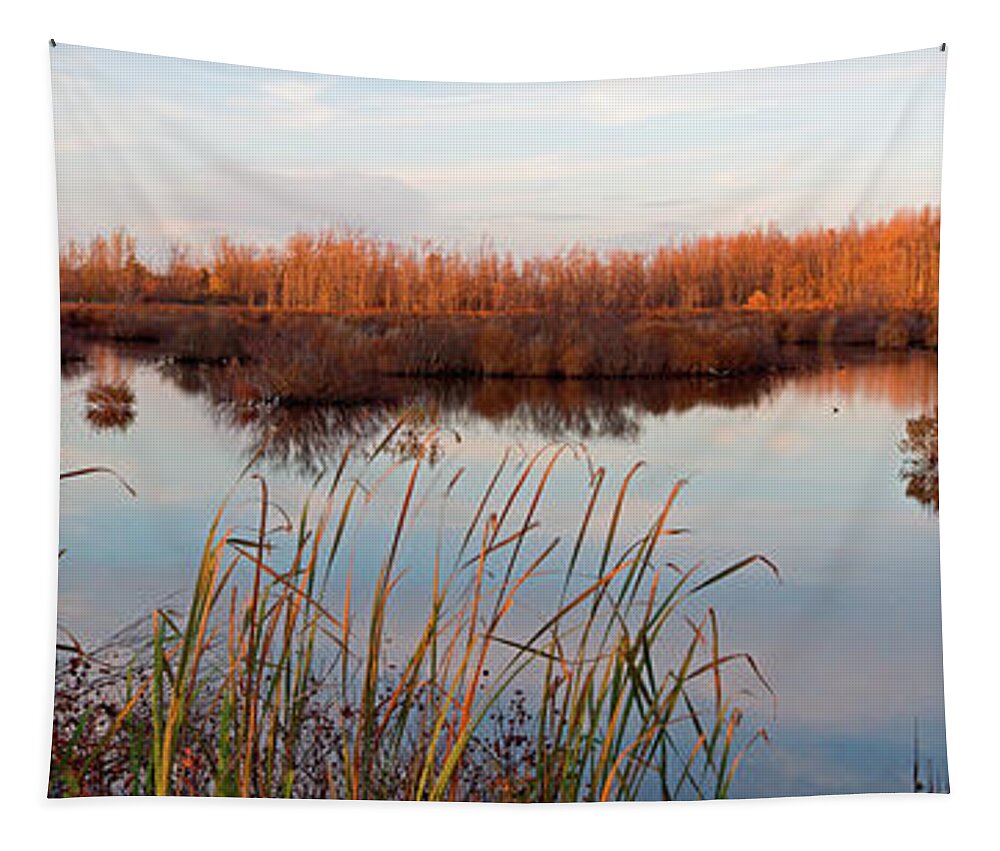 Preserve Tapestry featuring the photograph Tillman Preserve by Don Nieman